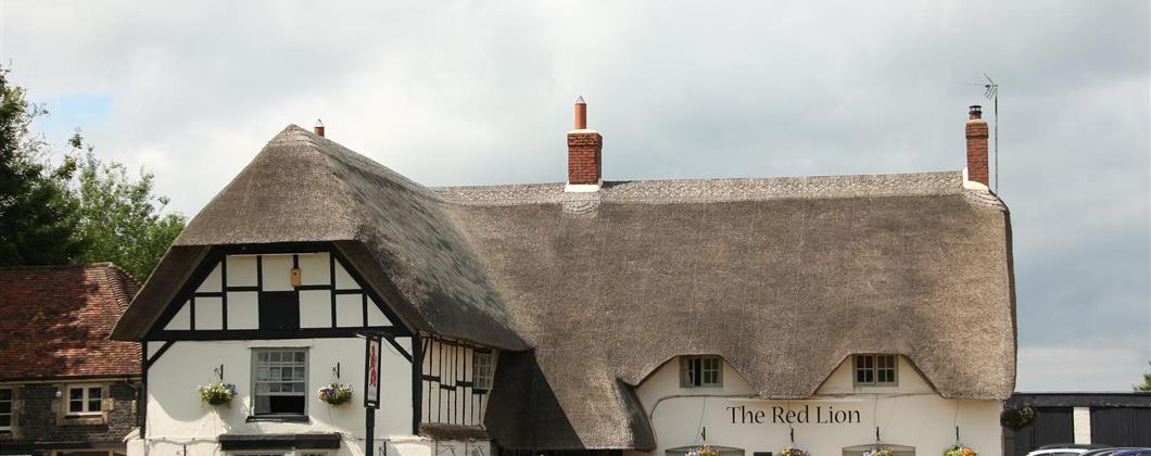 Thatch Blog June 22