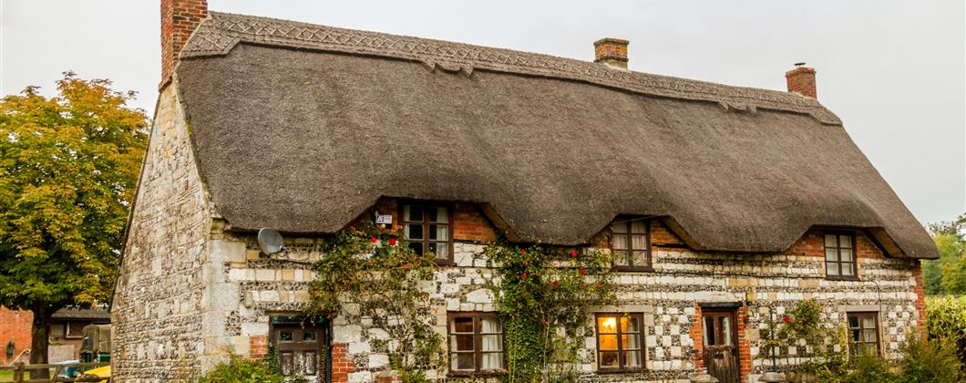 Thatch Blog July 22