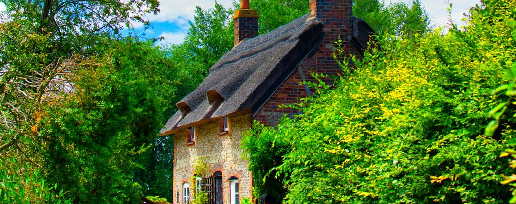 Cottage with thatched roof surrounded by green foliage