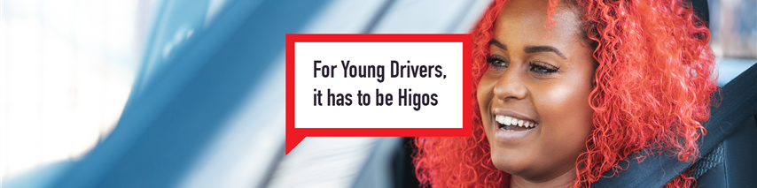 Higos Personal insurance young drivers