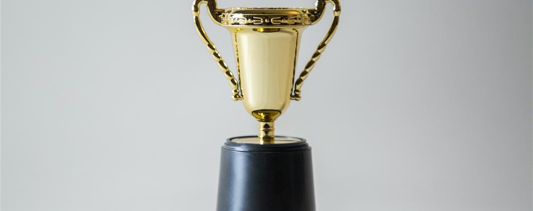 IBUK Winner Trophy Image